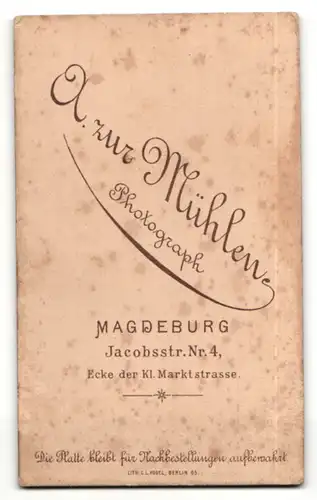 Fotografie A. zur Mühlen, Magdeburg, Portrait halbwüchsiger Knabe in Anzug