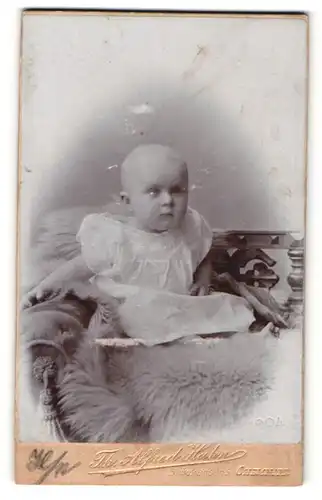 Fotografie Th. Alfred Hahn, Chemnitz, bezauberndes Kleinkind im weissen Kleidchen auf Fell sitzend