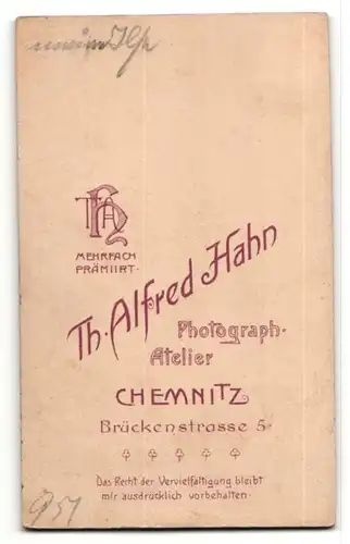 Fotografie Th. Alfred Hahn, Chemnitz, bezauberndes Kleinkind im weissen Kleidchen auf Fell sitzend