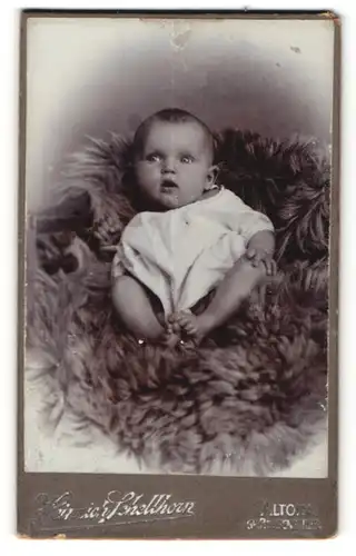 Fotografie Heinrich Schellhorn, Altona, Portrait niedliches Kleinkind im weissen Hemd auf Fell sitzend