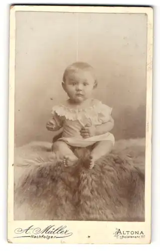 Fotografie A. Müller, Altona, Portrait niedliches Kleinkind im Hemd auf Fell sitzend