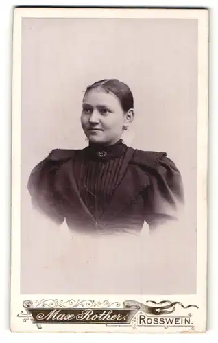 Fotografie Max Rother, Rosswein, Portrait Fräulein mit zusammengebundenem Haar