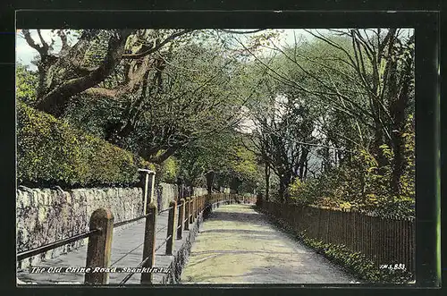 AK Shanklin, The Old Chine Road