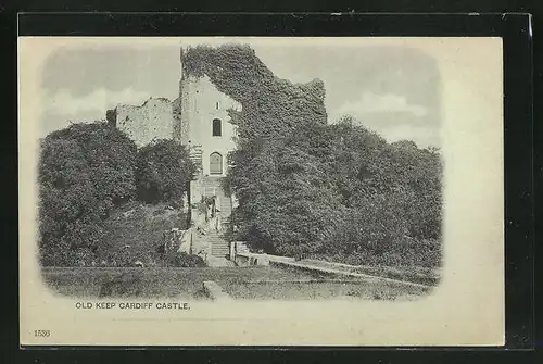 AK Cardiff, old keep Castle