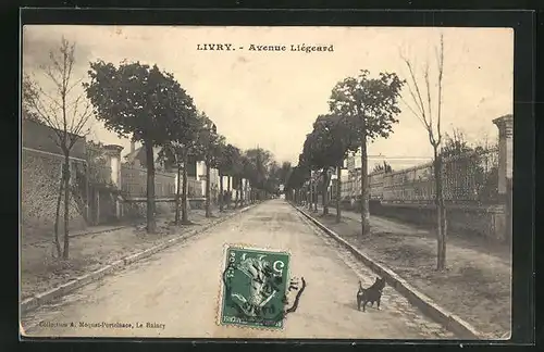 AK Livry, Avenue Liegeard