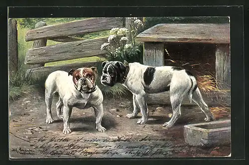 Künstler-AK Alfred Schönian: zwei Bulldoggen