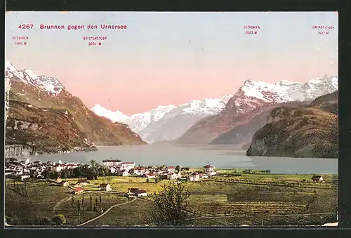 AK Brunnen, Gesamtansicht mit Blick zum Urnersee