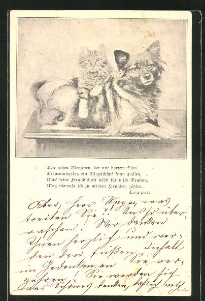 Download Hund und katze spruch For iPhone Free