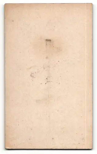 Fotografie Berliner Atelier, Altenburg, Portrait junger Herr mit Fliege im Anzug