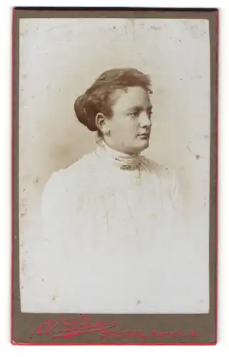 Fotografie W. Lohse, Stendal, Portrait Dame im Halbprofil