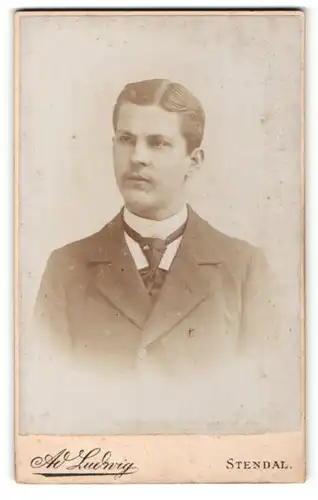 Fotografie Ad. Ludwig, Stendal, Portrait junger Herr mit Krawatte im Anzug