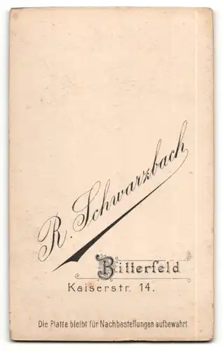 Fotografie R. Schwarzbach, Bitterfeld, Portrait charmanter Herr mit Krawatte im Anzug