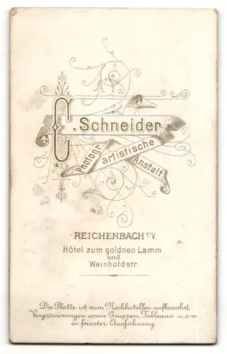 Fotografie C. Schneider, Reichenbach i. V., Portrait Herr im Anzug mit Schnurrbart