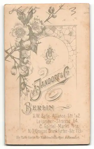 Fotografie A. Jandorf & Co, Berlin, Portrait bürgerliche Dame mit Kragenbrosche u. Halskette