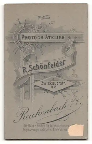 Fotografie R. Schönfelder, Reichenbach i / V., Portrait junge Dame mit Kragenbrosche im eleganten Kleid