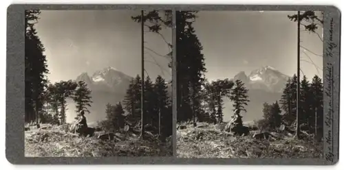 Stereo-Fotografie Fotograf unbekannt, Ansicht Watzmann, Gebirgspanorama