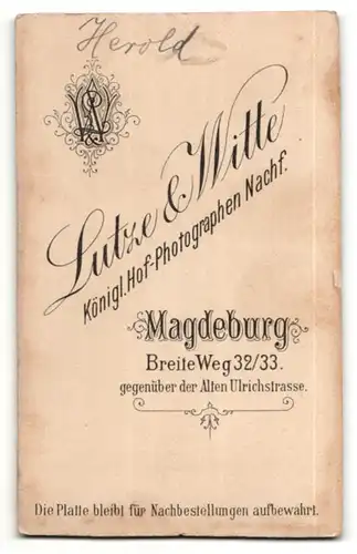 Fotografie Lutze & Witte, Magdeburg, Junger Mann im Anzug