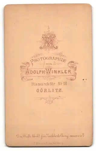 Fotografie Adolph Winkler, Görlitz, alte Dame mit Spitzenschleier auf dem Kopf und Brosche