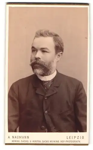 Fotografie Alfred Naumann, Leipzig, Herr in Anzug mit gemustertem Krawattentuch und Vollbart