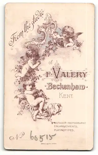 Fotografie F. Valery, Beckenham, Portrait dunkelhaarige Schönheit in prachtvoll bestickter Bluse