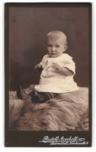Fotografie Rudolf Averhoff, Barmstedt, Süsses Kleinkind auf einem Fell