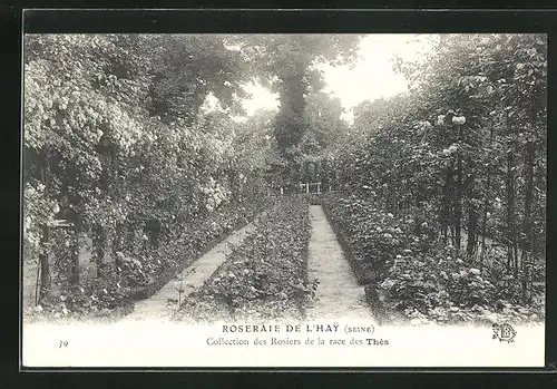 AK Roseraie de l'Hay, Collection des Rosiers de la race des Thes