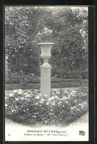 AK Roseraie de l`Hay, Parterre de Roses Mme Abel Chatenay