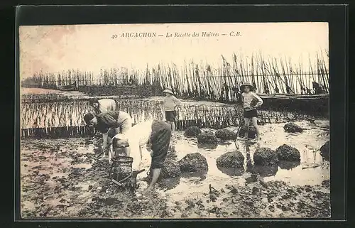 AK Arcachon, Le Recotte des Huitres, Krebsfischer