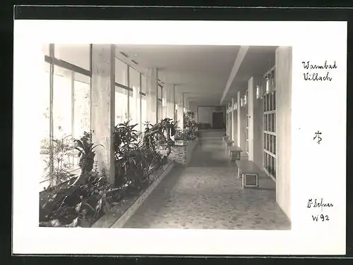 Foto-AK Adalbert Defner: Villach, Blumenbänke in einem Gebäude