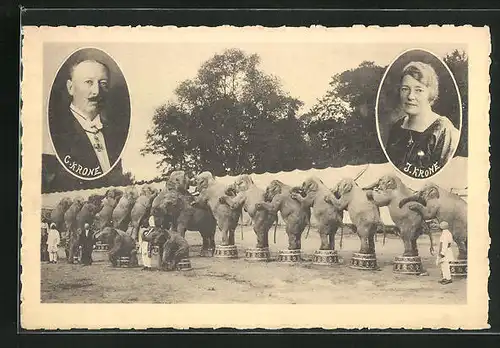 AK Zirkus Krone, Portraits C. Krone u. J. Krone, Elefanten in einer Reihe
