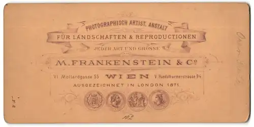 Stereo-Fotografie M. Frankenstein & Co., Wien, Ansicht Wien, Brunnen vor der Oper