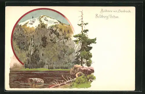 Lithographie Feldberg i. Schwarzwald, Feldsee mit Seebuck
