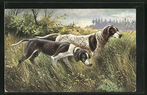 Künstler-AK Alfred Schönian: Jagdhunde auf der Pirsch