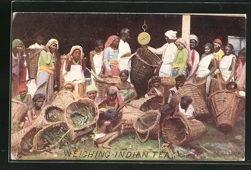 AK Arbeiter wiegen die geernteten Teeblätter
