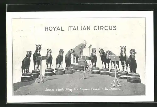 AK Royal Italian Circus, Jumbo conducting his Equine Band a la Sousa, Elefant dirigiert eine Pferdeband im Zirkus
