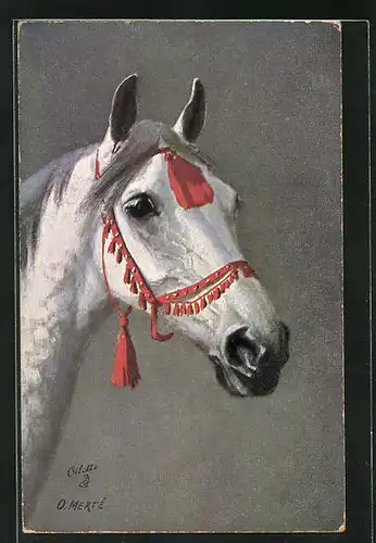 Künstler-AK O. Merte: weisses Pferd mit rotem Kopfschmuck