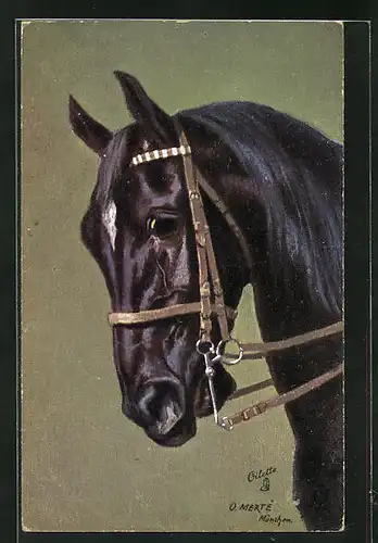 Künstler-AK O. Merte: schwarzes Pferd mit Zaumzeug