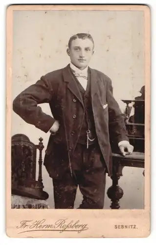 Fotografie Fr. Herm. Rossberg, Sebnitz, Portrait junger Herr mit Fliege im Anzug an Tisch gelehnt