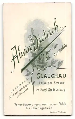 Fotografie Alwin Dietrich, Glauchau, Portrait junge Frau in festlicher Garderobe