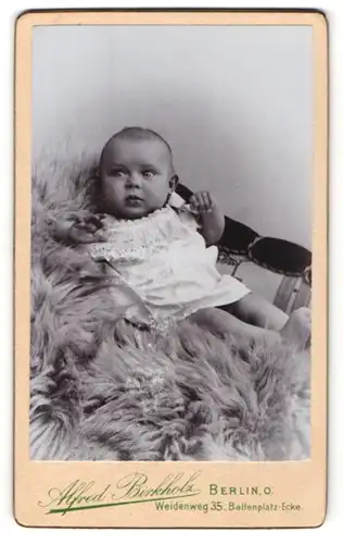 Fotografie Alfred Birkholz, Berlin, Portrait bezauberndes Baby auf Fell liegend