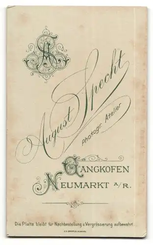 Fotografie Aug. Specht, Gangkofen & Neumarkt a&R, Portrait halbwüchsiger Knabe in Anzug