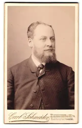 Fotografie Carl Schneider, Reichenbach i/V, Portrait elegant gekleideter Mann mit Vollbart
