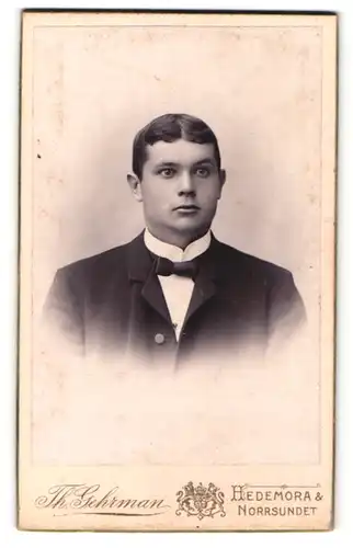 Fotografie Th. Gehrmann, Hedemora, Portrait junger Mann mit gescheitelter Haartracht