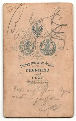 Fotografie F. Henning, Plön, Portrait halbwüchsiger Knabe mit zeitgenöss. Frisur