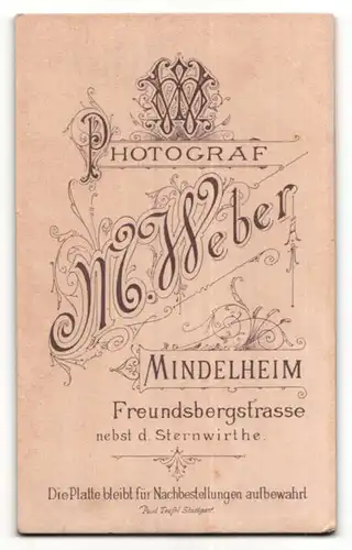 Fotografie M. Weber, Mindelheim, Elegant frisierter junger Bursche