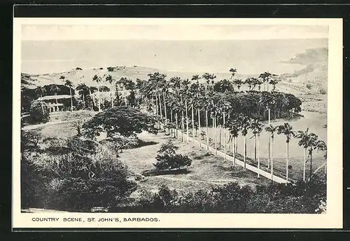 AK St. John / Barbados, Country Scene