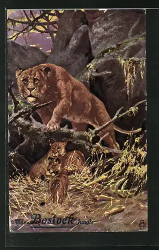 Künstler-AK Löwin mit ihren Jungen