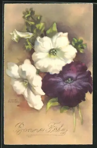 Künstler-AK Hannes Petersen: weisse und eine dunkel violette Blume, Bonne Fete