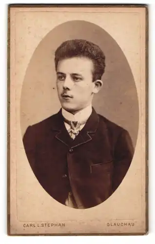 Fotografie Carl L. Stephan, Glauchau, Portrait junger Herr mit zeitgenöss. Frisur