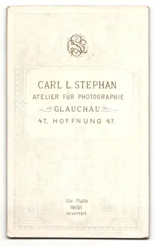 Fotografie Carl L. Stephan, Glauchau, Portrait junger Herr mit zeitgenöss. Frisur